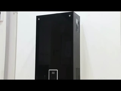 10L 2.6GPM سخان المياه لوحة الطلاء الأسود الغاز الغازي الغازي نوع الغاز