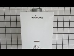 10L 2.6GPM سخان المياه لوحة الطلاء الأسود الغاز الغازي الغازي نوع الغاز