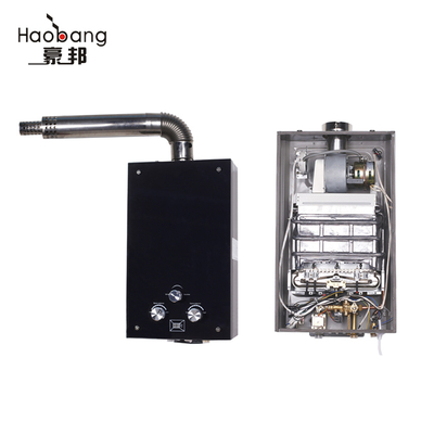 10L Natural Gas Water Heater Wall Mounted Instant Shower