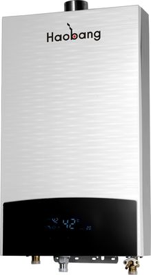 High Energy Efficiency Thermostat Constant Temperature App-Controlled Flue Gas Water Heater and LPG Water Heater